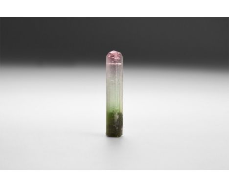 A very fine triangular column of tourmaline with green, white and purple colour bands; in white card tray. 3 grams (15 carats