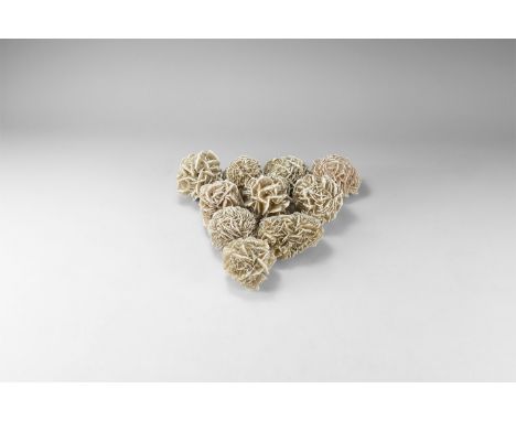 Group of ten large 'Desert Rose' crystalline gypsum specimens with sand grain inclusions. 1.14 kg total, 50-65mm (2 - 2 1/2")