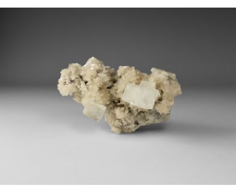 A fine specimen of cubic apophyllite crystals on stilbite, in white card tray with label reading: 'APOPHYLLITE with STILBITE,
