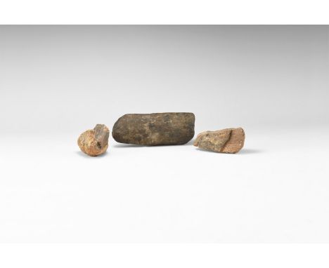 Cretaceous Period, 120 million years BP. A group of three bone sections comprising: two triceratops head frill bone sections 