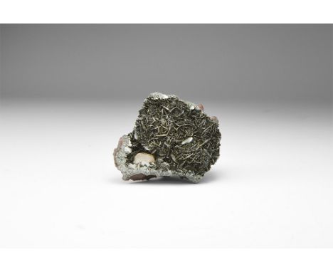 A fine example of specular hematite with a smoky quartz crystal in white card tray with label 'Specular hematite with quartz.