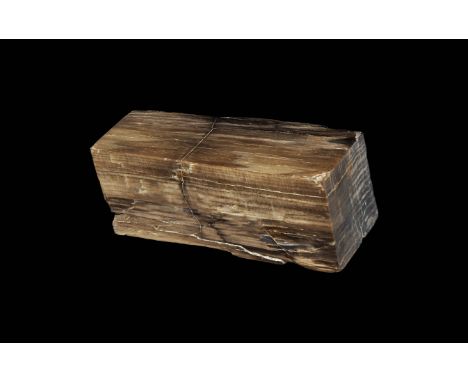 Triassic Period, 250-200 million years BP. A square-section block of fossilised wood with three polished faces from Madagasca