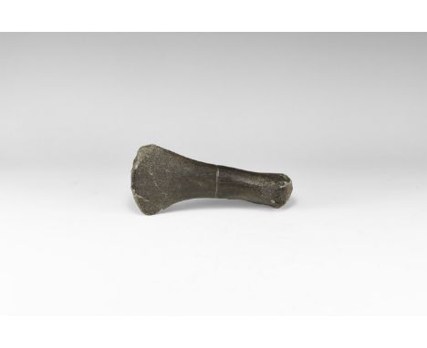 Jurassic Period, 200-145 million years BP. A bone from the 'paddle' flipper of a plesiosaur, accompanied by label reading: 'P