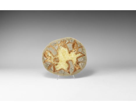 A cut and polished septarian displaying the internal structure with honeycomb calcite to the centre framed by brown calcite a