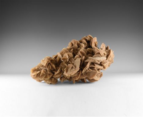 A very large selenite gypsum 'desert rose' composed of blades of selenite with gypsum sand inclusions. 14.5 kg, 52cm (20 1/2"