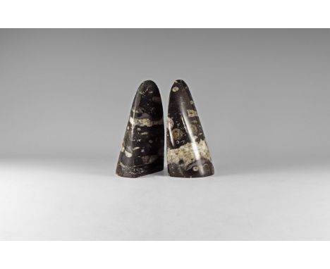 Devonian Period, 417-354 million years BP. A matched pair of stone blocks with orthoceras inclusions, polished faces. 107 gra