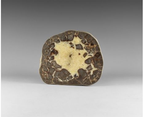 A fine cut and polished septarian geode half, with grey and brown calcite, including a hollow filled with yellow calcite crys