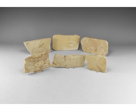 Eocene Epoch, 56-49 million years BP. A group of six Knightia sp. fossil fish preserved in calcareous shale. See Grande, L. T