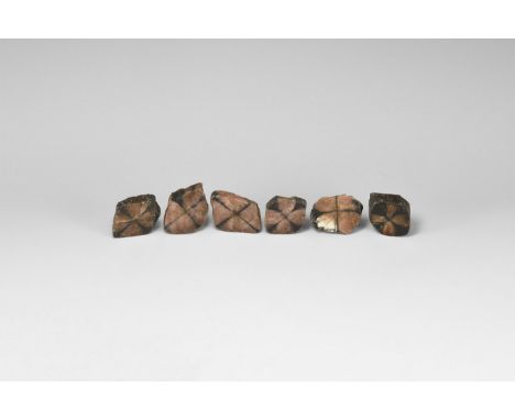 A group of six dark pink and black chiastolite mineral specimens, each in white card tray with card reading: 'CHIASTOLITE, Ch