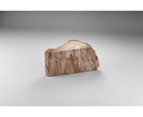Triassic Period, 250-200 million years BP. A free-standing section of petrified wood from Northern Arizona, polished on two f