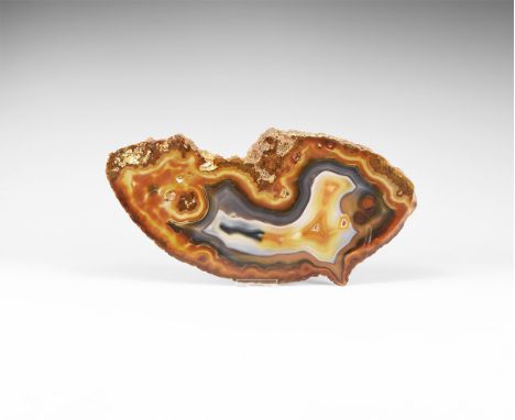 A large cut and polished agate slice with bands of blue, dark red and orange colour. 496 grams, 31.3cm (12 1/4"). From the hi