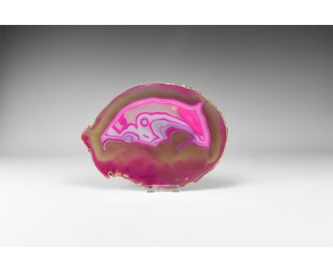 A fine cut and polished agate slice with bands of brown, pink and white colour, colour enhanced. 585 grams, 25.6cm (10"). Fro