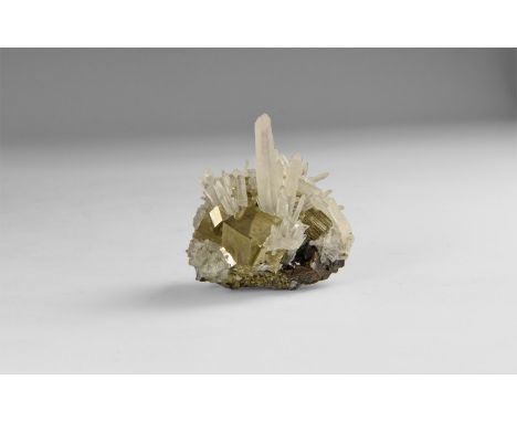 A fine specimen of quartz crystals with pyrite cubes on a matrix, in white card tray with label reading: 'QUARTZ with PYRITE,