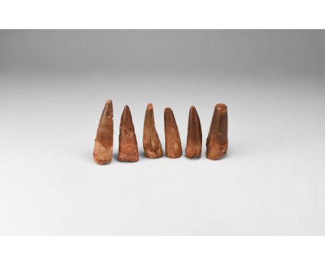 Cretaceous Period, Aptian Stage, 125-113 million years BP. A group of six large dinosaur teeth from the Spinosaurus maroccanu