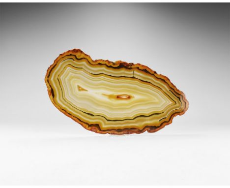 A large cut and polished agate slice with bands of dark and pale brown. 495 grams, 32cm (12 1/2"). From the historic ‘Victori