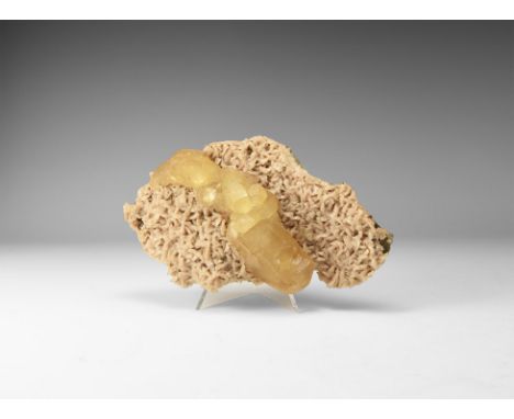A well formed dolomite crystal cut with yellow calcite crystals. 478 grams, 16.2cm (6 1/4"). From the historic ‘Victorian Mus