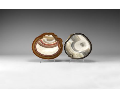 A group of cut and polished agate slices with one surface dished to form a bowl; one of white, grey and brown colour; one of 