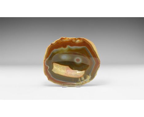 A substantial cut and polished agate slice with natural variegated brown and red bands, centre cut with an elliptical bowl sh