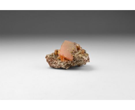 A group of fine orange wulfenite crystals on matrix, in old white card tray with label reading: 'WULFENITE, Arizona, USA'. 25