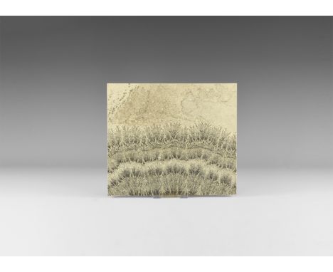 A square cut slab of shale with fan-shaped manganese oxide dendrites spreading out across the surface. See Bonewitz, Dr. Rona