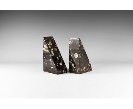 Devonian Period, 417-354 million years BP. A matched pair of stone blocks with orthoceras inclusions, polished faces. 2.4 kg,