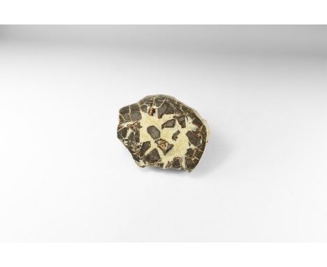 A fine cut and polished septarian geode, with grey and brown calcite, including a hollow filled with yellow calcite crystals.