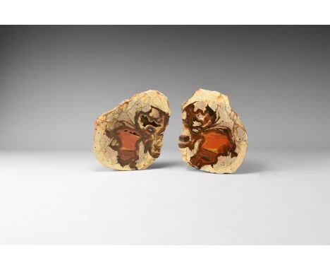 A cut and polished pair of Agate Creek, Australia, thunderegg halves. 1.41 kg total, 13-13.6cm (5 1/4"). From the historic ‘V