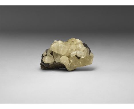 A formation of pale yellow calcite crystals on black sphalerite matrix, in white card tray with label reading: 'CALCITE on SP