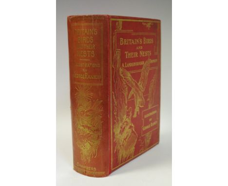 BRITAIN`S BIRDS AND THEIR NESTS by A. Landsborough Thomson, illustrated by George Rankin, printed by W &amp; R Chambers, Limi