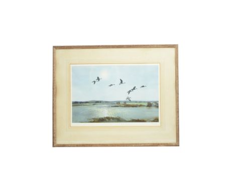 Peter Scott (1909-1989) lithograph, 'The Upland Pool-Pintails', signed in pencil to margin, 35 cm x 53 cm, framed and glazed,