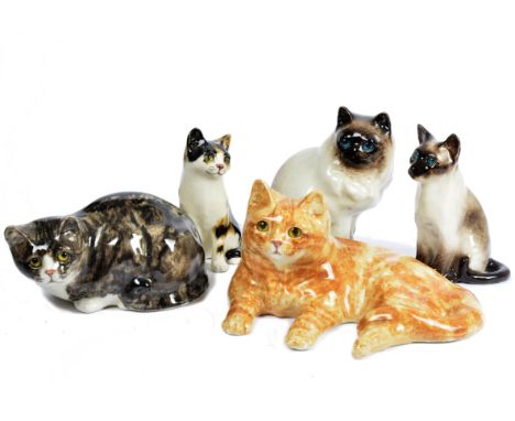 A group of five Jenny Winstanley ceramic models of cats with glass eyes, largest lying ginger example, 33 cm wide, all signed
