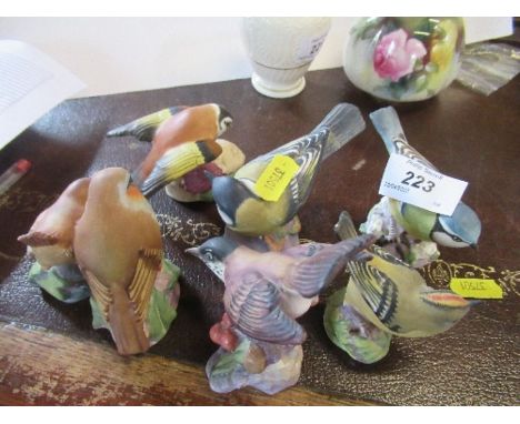 Seven Royal Worcester birds