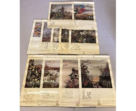 11 vintage Shell Premium nature posters. 10 from the Shellguide monthly "Lanes" series, arranged &amp; printed by Edith and R