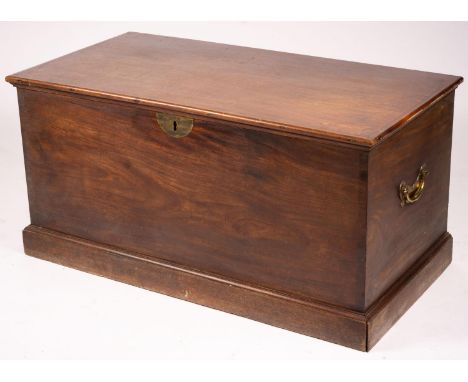 A large 19th century mahogany trunk with brass side handles, length 125cm, width 63cm, height 62cm