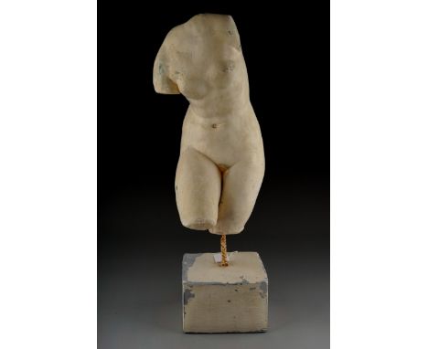 Vintage plaster bust of Aphrodite , approx 50 cm tall 