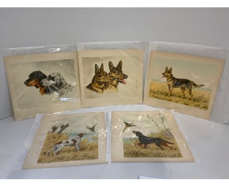 5x Paul Wood (1897-1964) Prints of Dogs Titled and Signed by the Artist in Pencil 