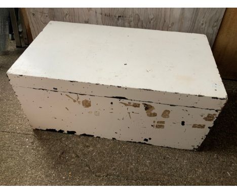 Painted Trunk 