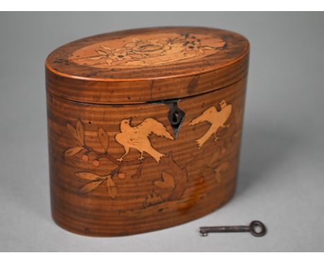 A Sheraton period satinwood oval tea caddy inlaid with marquetry basket of flowers to the top and doves in a fruiting tree to