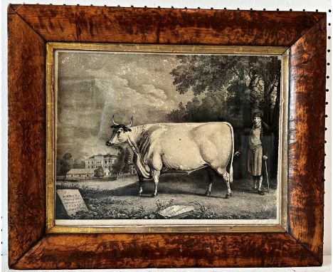 Charles Joseph Hullmandel (1789-1850) After Daniel Clowes - 'The Baron Weighing 165 lbs. Was roasted at NANNAU June 25th 1824