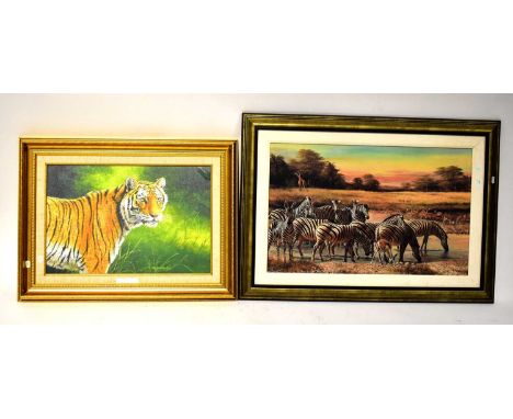 AFTER STEPHEN GAYFORD; colour lithograph on canvas 'Handsome Beast', study of a tiger, 39 x 59cm, together with another litho