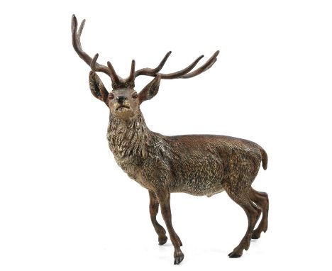 Austrian cold painted bronze model of a stag, unmarked, height 20cm.Condition report:Both front legs are bent and hooves dont