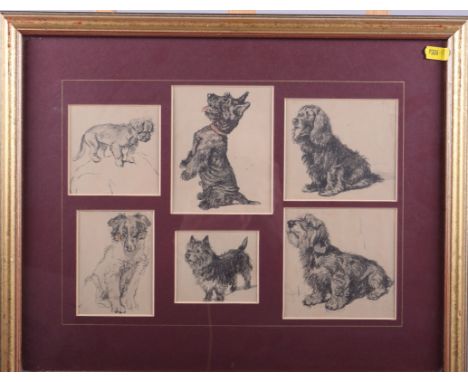 Cecil Aldin: twenty-five assorted prints of various dog breeds, in twelve gilt frames, assorted sizes