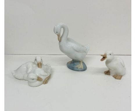 Three Nao, swans and ducks 