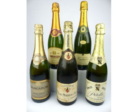 Champagne / Sparkling Wine selection (5)