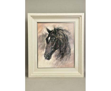 GARY BENFIELD (BRITISH 1965) 'MIDNIGHT', a limited edition head portrait of a black horse 72/95, signed bottom right with cer