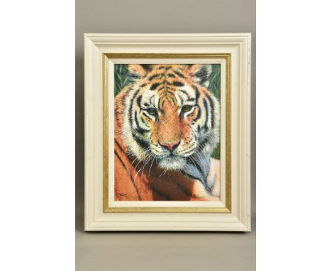 TONY FORREST (BRITISH 1961) 'WILD THING', a portrait of a tiger, limited edition print, 47/195, signed bottom left with certi