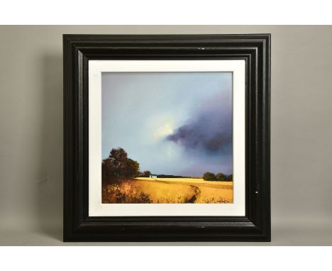 BARRY HILTON (BRITISH 1941) 'GOLDEN FIELDS OF HOME', a limited edition print of a landscape 51/195, signed bottom right with 