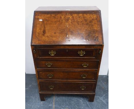 Lady's burr walnut bureau with fall front enclosing fitted drawer, cupboard and pigeonholes above four assorted drawers, on b