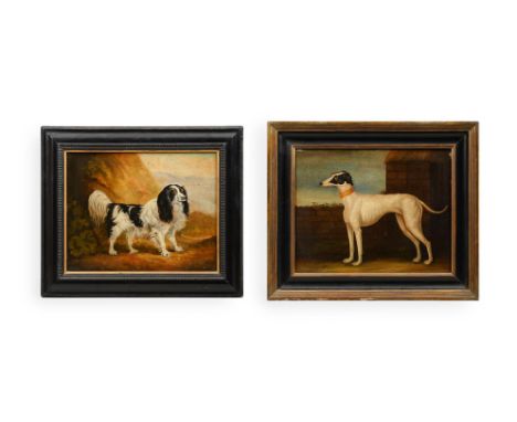 19TH CENTURY ENGLISH SCHOOLSTUDY OF A GREYHOUND 'SLAUGHTER' Oil on canvasUnsigned but titled to collar38 x 48cmThe ebonised a