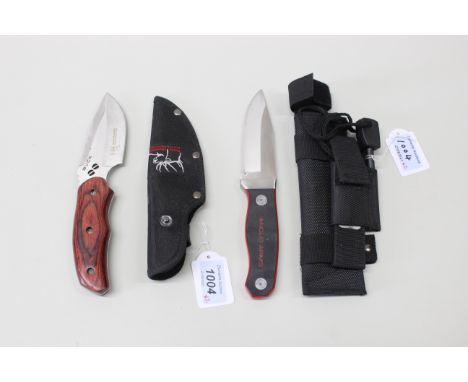 Two hunting knives, one by Buck marked Rocky Mountain Elk Foundation, both with sheaths